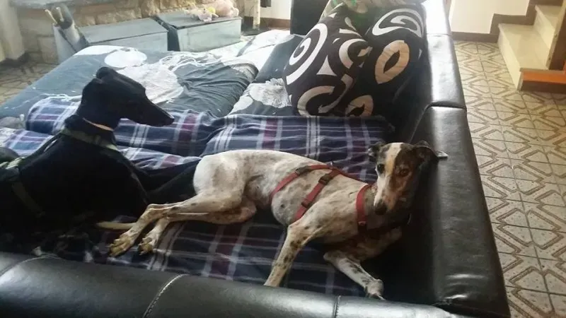 14358902 1440686559281530 1528007422028035892 n