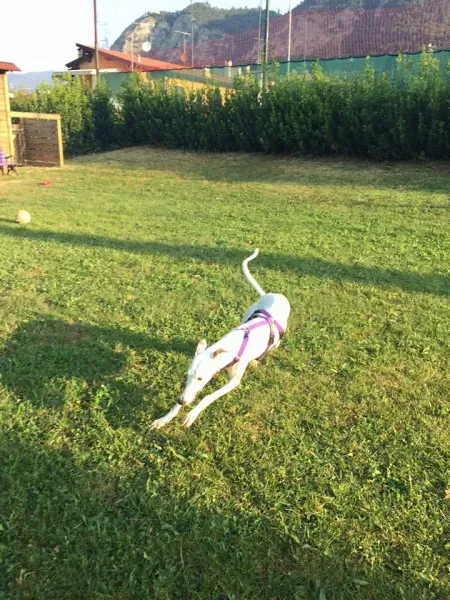 14358985 10207505668663245 7057274330363721123 n