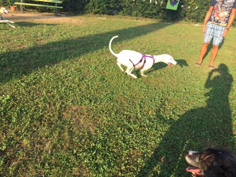 14359221 10207505668263235 2540461992929639627 n