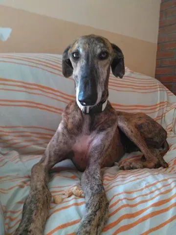 14369872 1783606305255328 520049408273091473 n