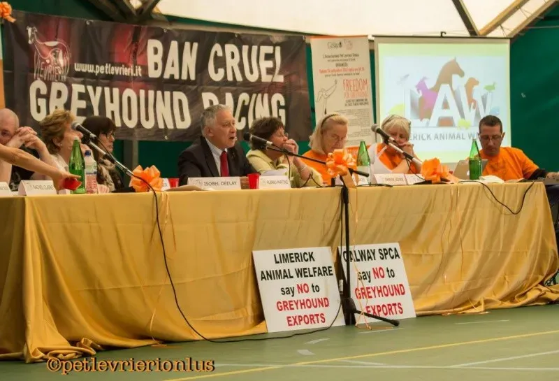 14379636 1127320327351821 2446046564361338978 o