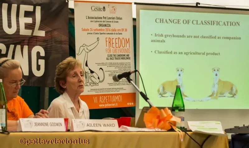 14380116 1127320564018464 394215300052340874 o