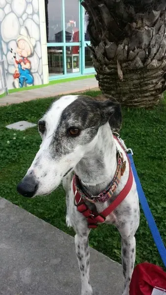 14380136 1444999682183551 2619242483080039676 o