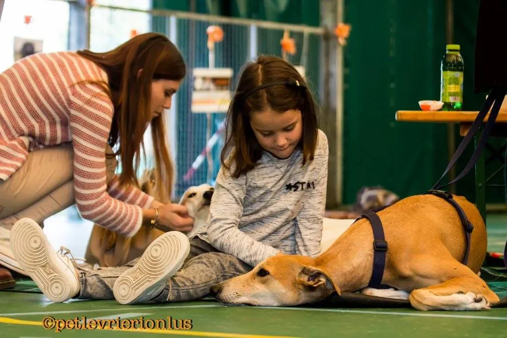 14380153 1127321220685065 8279212746904835681 o