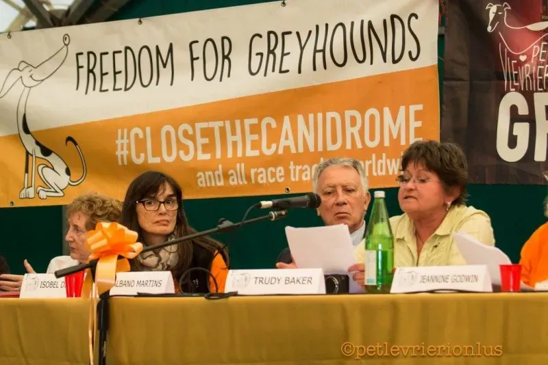 14409387 1127324960684691 2986766946812202067 o