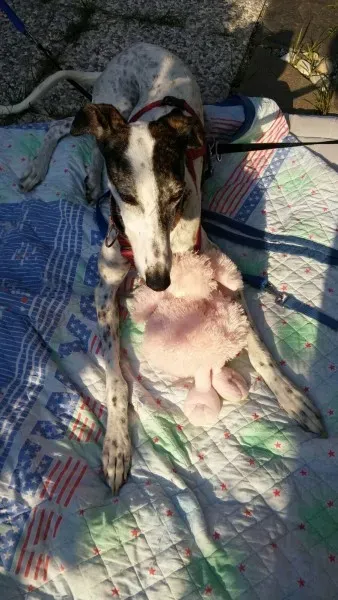 14409482 1440686992614820 4680959253151369083 o