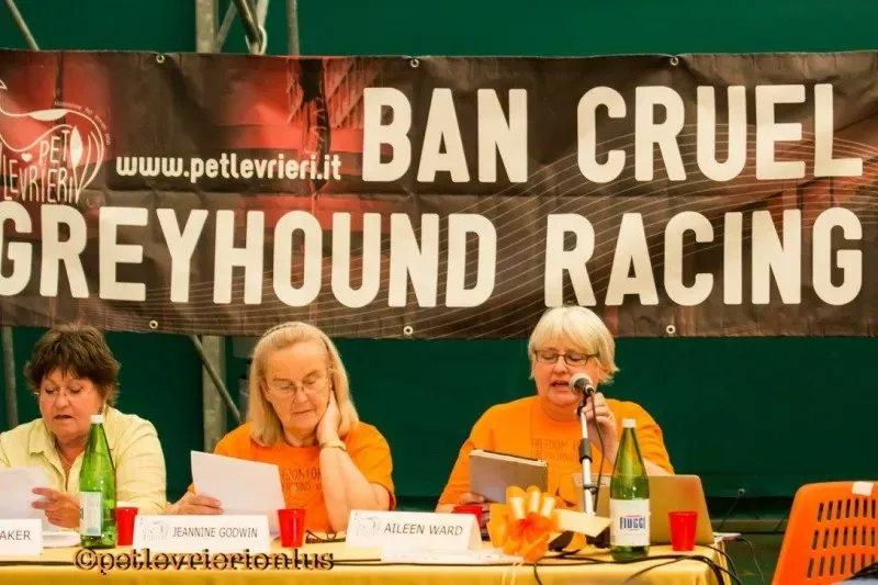 14409531 1127320900685097 2271605026597046763 o