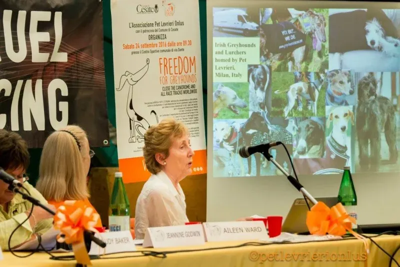 14409587 1127320730685114 3417661458438019983 o