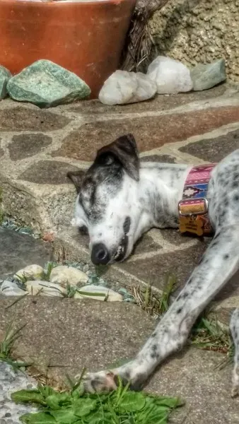 14409617 1442710102412509 4184604707896714326 o