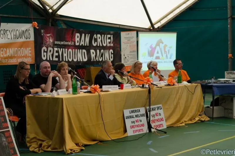 14409621 1128741770543010 4063996828543524194 o