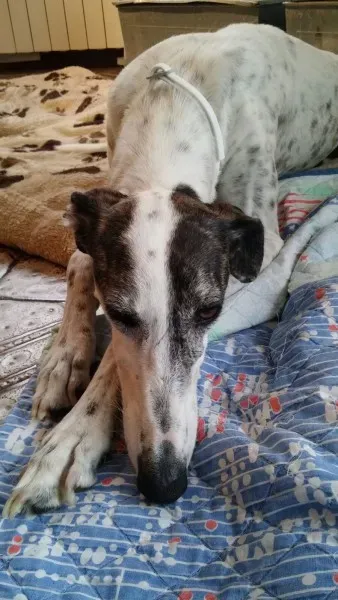 14409626 1440687039281482 290825258920726626 o