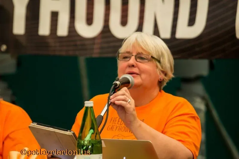 14409667 1127320884018432 7204781644289075686 o