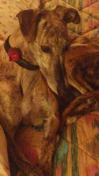 14424784 1444999478850238 3835453735866811409 o