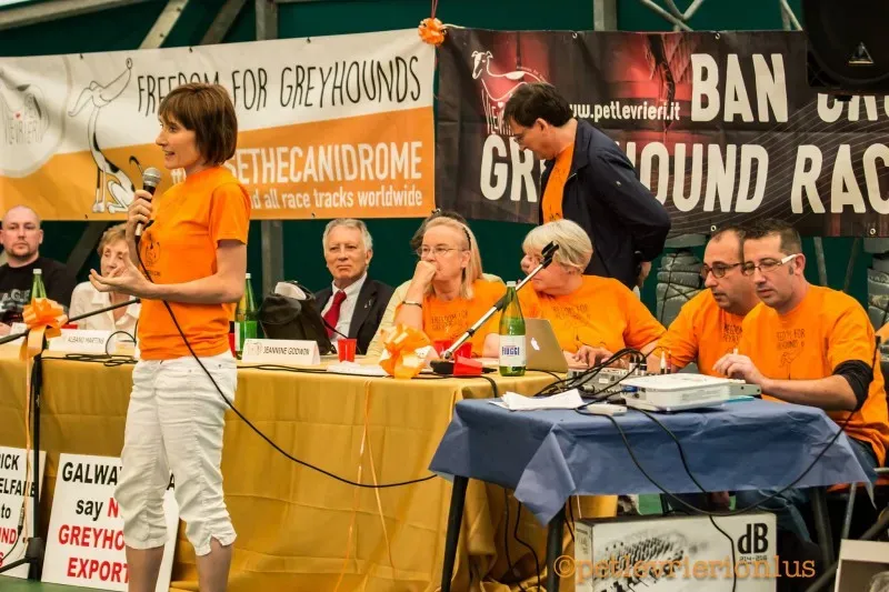 14435204 1127772510639936 2804424512128064681 o