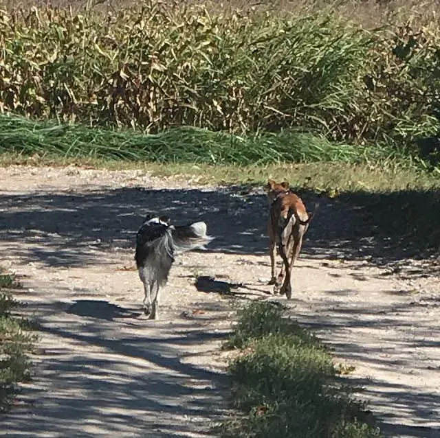 14440766 10154102110543246 5053771505759675723 n