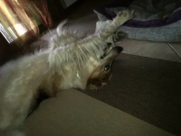 14440839 1132174896866364 5216336330157627258 n