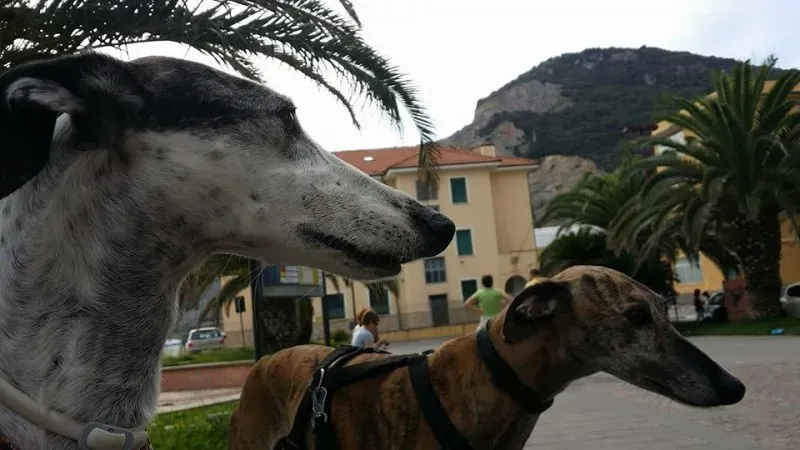 14441005 1444999838850202 1704304876371206991 n