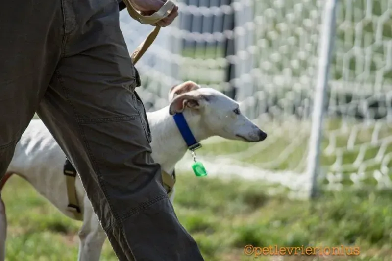 14441158 1130315313718989 2937019029957769256 n