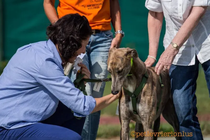 14441161 1127732383977282 2114330203276724071 n 1