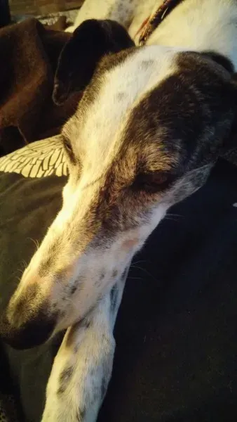 14444687 1440686832614836 1680383844100423369 o