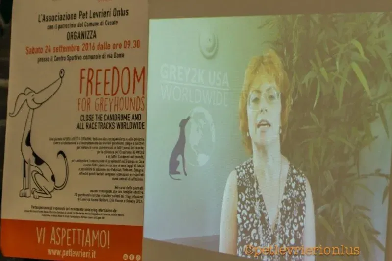 14444747 1127321614018359 979837315559002056 o