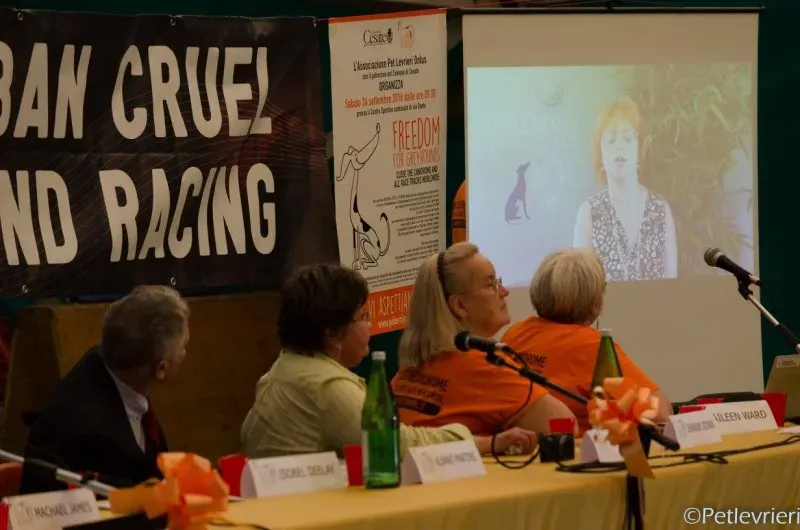 14444761 1128747350542452 4628764989576129624 o