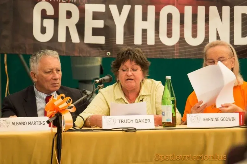 14444799 1127324997351354 7915702650575044556 o