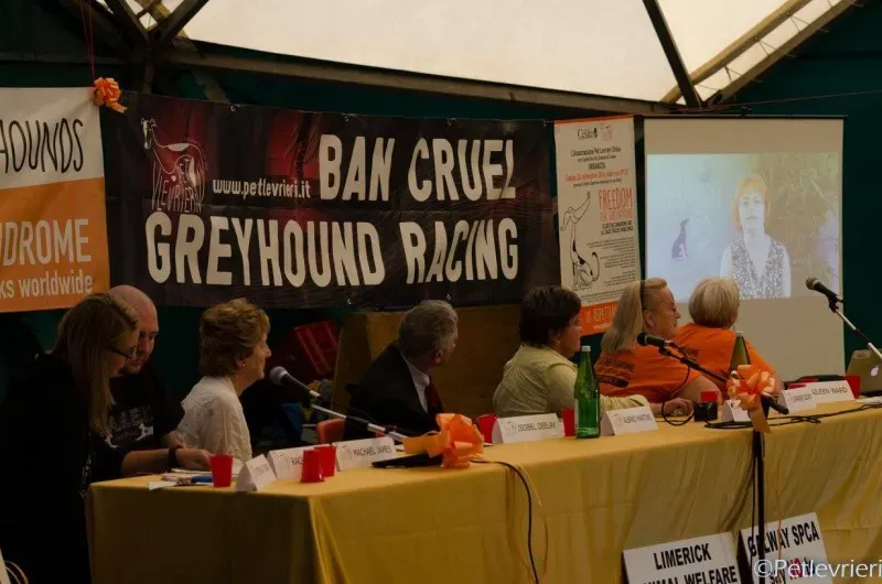 14445036 1128747487209105 6164540836208159949 o