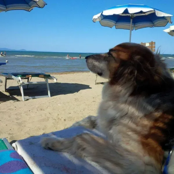 14448793 1132174773533043 2669829228516758738 n