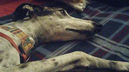 14448870 1440686482614871 1935683867432740289 n