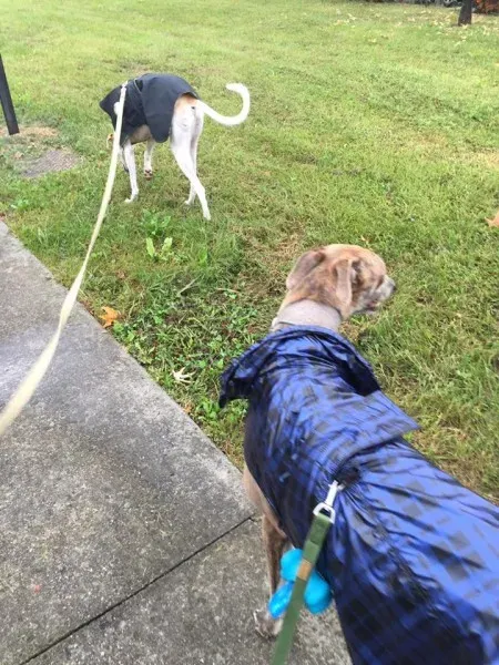 14448990 10207647817536878 2969929058216304504 n