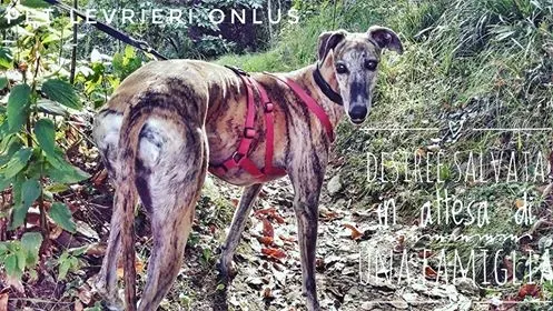 14449727 1448380468512139 5172208209333758281 n