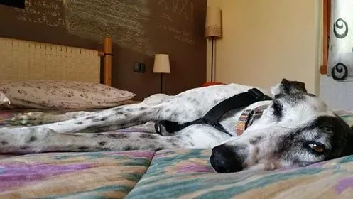 14449755 1445826215434231 8685190588706998775 n