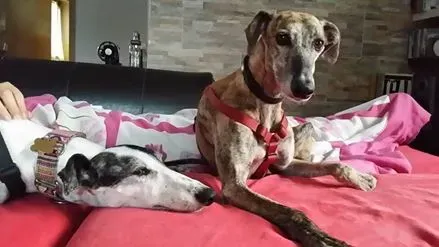 14457321 1444998485517004 2490195573396419489 n