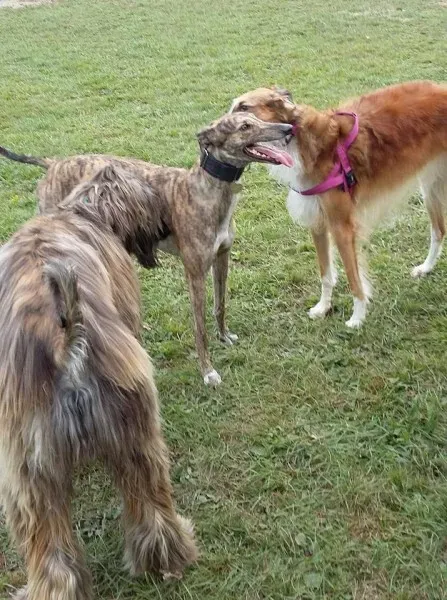 14457452 10210362913530737 901391999726620395 n