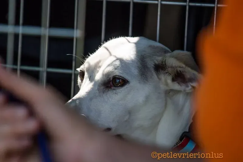 14462749 1127733437310510 7398020098769068991 n