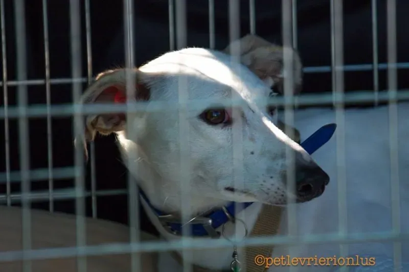 14462794 1130315287052325 5304295097942218143 n