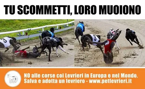 14463107 1151346108290324 6809714420852260582 n