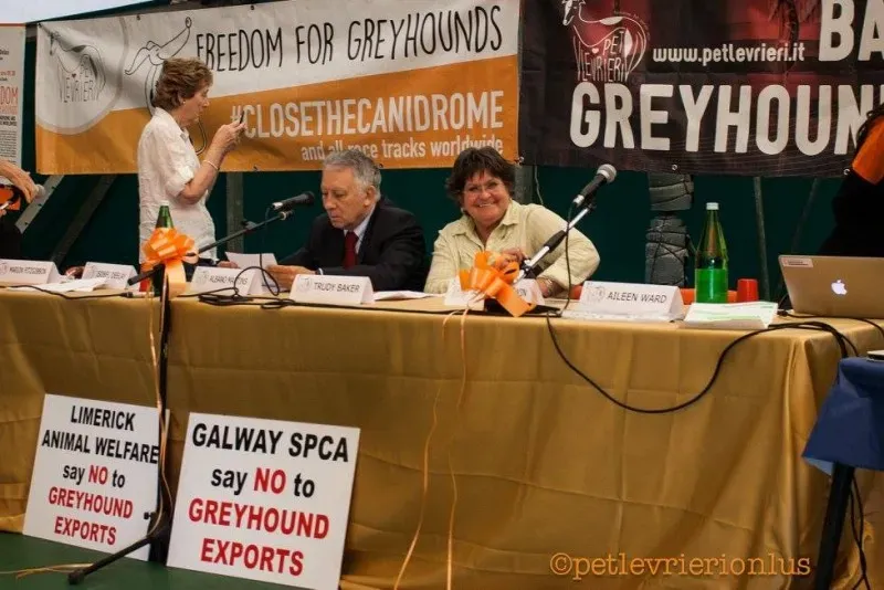 14468190 1127319547351899 6758674538125706798 o