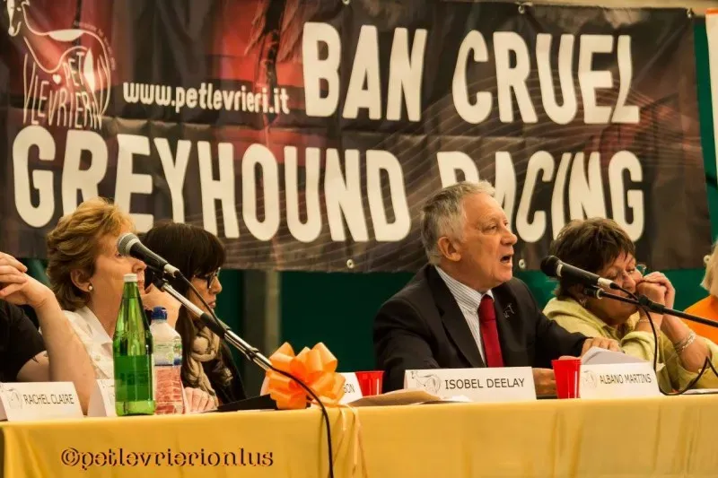 14468218 1127320374018483 8741103279351320355 o