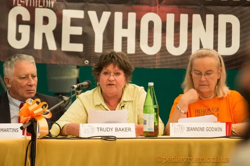 14468623 1127325020684685 363305957468176496 o