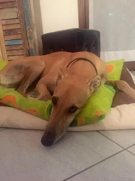 14470650 10209100860871969 3082832830100196708 n