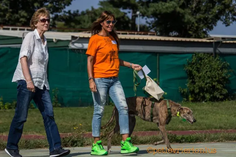 14479574 1127732273977293 7555944764413123368 n