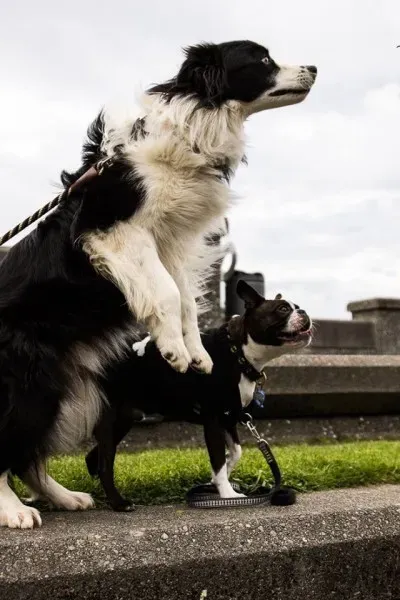 14479608 1841408219423903 513511817685726884 n