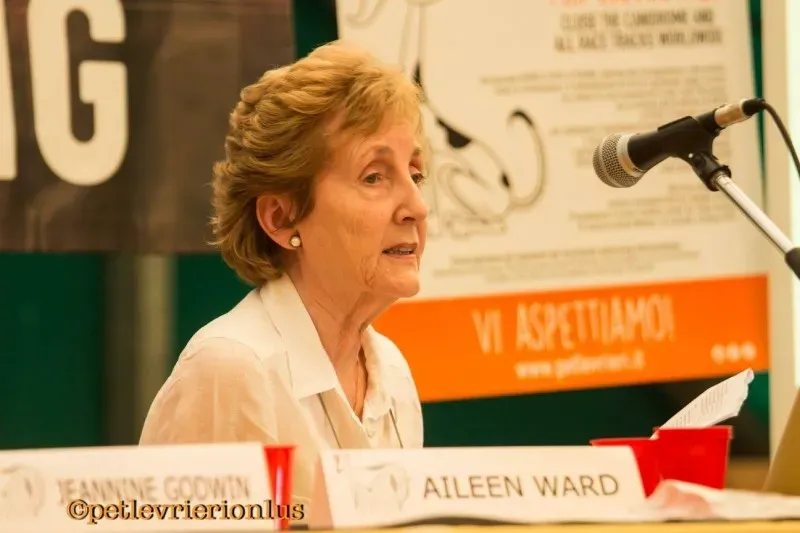 14481859 1127320577351796 8385130094291293766 o 1