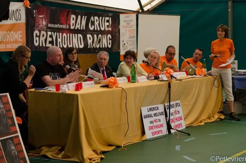 14482003 1128747080542479 848865282210116199 o 1