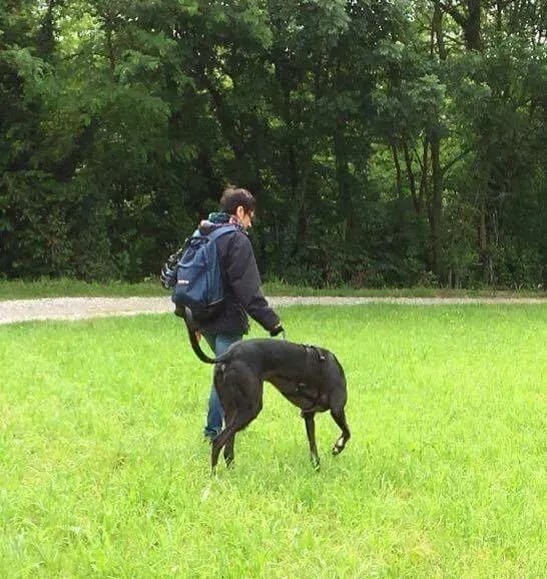 14483781 661994733971575 2024712179 n