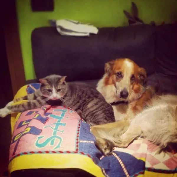 14484696 1132174696866384 8010412469665313383 n