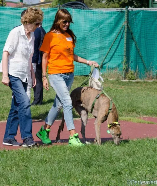 14484875 1129069710510216 3918380502818076807 n