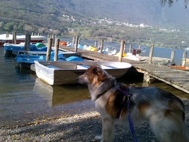 14485055 1132174810199706 6557676080029309128 n